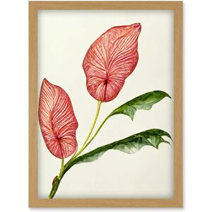 Artery8 Pink Laceleaf Anthurium - A4 - Wall Art Artery8 Pink Laceleaf Anthurium - A4 - Wall Art
