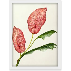 Artery8 Pink Laceleaf Tropical Leaf Anthurium Botanical Artwork Framed Wall Art Print A4 in White White Artery8 Pink Laceleaf Tropical Leaf Anthurium Botanical Artwork Framed Wall Art Print A4 in White White