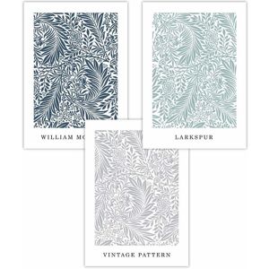 ARTZE Set of 3 William Morris Vintage Larkspur Spring Colours Art Posters Size: W42 cm x H59 cm Multicolor W42 cm x H59 cm ARTZE Set of 3 William Morris Vintage Larkspur Spring Colours Art Posters Size: W42 cm x H59 cm Multicolor W42 cm x H59 cm