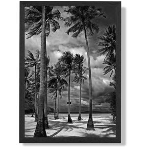 ARTZE Stormy Palm Trees Black & White Photo Framed Print SIZE: A2 with Black Frame Size: A4 Black A4 ARTZE Stormy Palm Trees Black & White Photo Framed Print SIZE: A2 with Black Frame Size: A4 Black A4