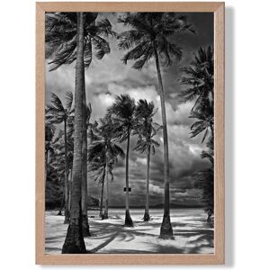 ARTZE Stormy Palm Trees Black & White Photo Framed Print SIZE: A4 with Oak Frame Size: A3 Black A3 ARTZE Stormy Palm Trees Black & White Photo Framed Print SIZE: A4 with Oak Frame Size: A3 Black A3