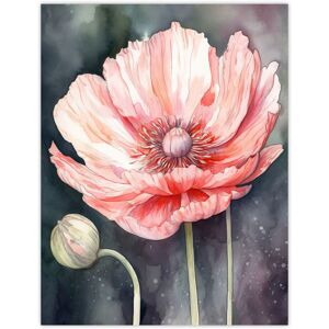 Artery8 Wall Art Print Pink Poppy Flower Pastel Watercolour Painting Spring Bud & Bloom Close-Up Nature Colourful Bright Floral Modern Artwork Poster Pink W18" x H24" Artery8 Wall Art Print Pink Poppy Flower Pastel Watercolour Painting Spring Bud & Bloom Close-Up Nature Colourful Bright Floral Modern Artwork Poster Pink W18" x H24"