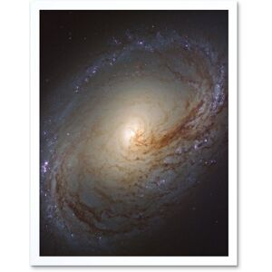 Artery8 Hubble Space Telescope Image NGC 3368 Orange Blue Galaxy Also Known As Messier 96 Starbirth Occurring Along Dark Dust Gas Filaments Spiral White A4 Artery8 Hubble Space Telescope Image NGC 3368 Orange Blue Galaxy Also Known As Messier 96 Starbirth Occurring Along Dark Dust Gas Filaments Spiral White A4