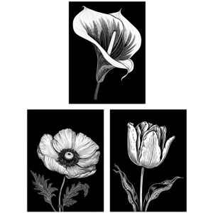 Artery8 Wall Art Print Set of 3 Elegant Single Tulip Anemone Calla Lily Flowers Floral Black White Striking Impact Artwork Living Room Poster s Pack Black W12" x H16" Artery8 Wall Art Print Set of 3 Elegant Single Tulip Anemone Calla Lily Flowers Floral Black White Striking Impact Artwork Living Room Poster s Pack Black W12" x H16"