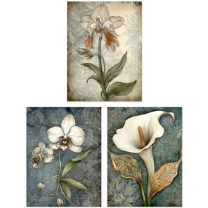 Artery8 Set of 3 Elegant Single Calla Lily & Orchids Flowers Calming Art Deco Style Artwork Unframed Wall Art Living Room Poster Prints Pack Pale Blue W12" x H16" Artery8 Set of 3 Elegant Single Calla Lily & Orchids Flowers Calming Art Deco Style Artwork Unframed Wall Art Living Room Poster Prints Pack Pale Blue W12" x H16"