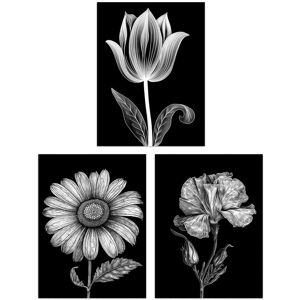 Artery8 Wall Art Print Set of 3 Elegant Single Tulip Daisy Rose Spring Flowers Black & White Floral Impact Artworks Living Room Poster s Pack Black W12" x H16" Artery8 Wall Art Print Set of 3 Elegant Single Tulip Daisy Rose Spring Flowers Black & White Floral Impact Artworks Living Room Poster s Pack Black W12" x H16"