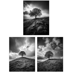 Artery8 Wall Art Print Set of 3 Lone Tree on a Hill Black & White Photographs Countryside Field Landscape Living Room Poster s Pack Grey W12" x H16" Artery8 Wall Art Print Set of 3 Lone Tree on a Hill Black & White Photographs Countryside Field Landscape Living Room Poster s Pack Grey W12" x H16"