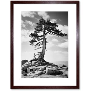 Artery8 Wall Art Print Weathered Jeffrey Pine Standing on a Rocky Hill Black & White Photograph Lone Tree Artwork Framed 9X7 Inch Size: W7" x H9" Brown W7" x H9" Artery8 Wall Art Print Weathered Jeffrey Pine Standing on a Rocky Hill Black & White Photograph Lone Tree Artwork Framed 9X7 Inch Size: W7" x H9" Brown W7" x H9"