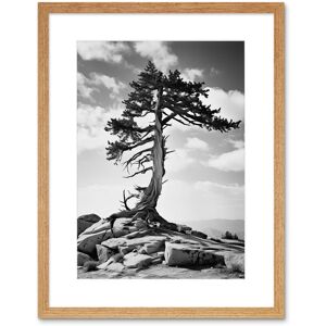 Artery8 Wall Art Print Weathered Jeffrey Pine Standing on a Rocky Hill Black & White Photograph Lone Tree Artwork Framed 9X7 Inch Size: W7" x H9" Beige W7" x H9" Artery8 Wall Art Print Weathered Jeffrey Pine Standing on a Rocky Hill Black & White Photograph Lone Tree Artwork Framed 9X7 Inch Size: W7" x H9" Beige W7" x H9"