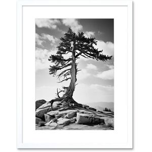 Artery8 Wall Art Print Weathered Jeffrey Pine Standing on a Rocky Hill Black & White Photograph Lone Tree Artwork Framed 9X7 Inch Size: W7" x H9" White W7" x H9" Artery8 Wall Art Print Weathered Jeffrey Pine Standing on a Rocky Hill Black & White Photograph Lone Tree Artwork Framed 9X7 Inch Size: W7" x H9" White W7" x H9"