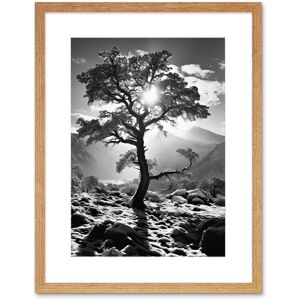 Artery8 Wall Art Print Frozen Tree Outline in Mountain Forest Landscape Covered in Snow Black & White Photograph Winter Sunshine Artwork Framed 9X7 Beige W7" x H9" Artery8 Wall Art Print Frozen Tree Outline in Mountain Forest Landscape Covered in Snow Black & White Photograph Winter Sunshine Artwork Framed 9X7 Beige W7" x H9"