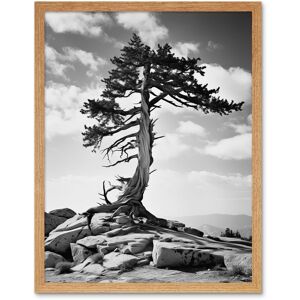 Artery8 Wall Art Print Weathered Jeffrey Pine Standing on a Rocky Hill Black & White Photograph Lone Tree Art Framed in Light Oak Size: W12" x H16" Light Oak W12" x H16" Artery8 Wall Art Print Weathered Jeffrey Pine Standing on a Rocky Hill Black & White Photograph Lone Tree Art Framed in Light Oak Size: W12" x H16" Light Oak W12" x H16"