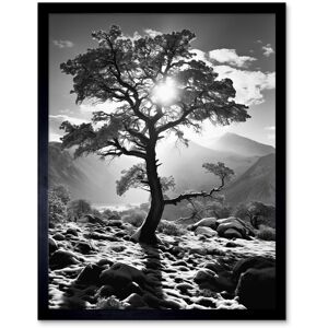 Artery8 Wall Art Print Frozen Tree Outline in Mountain Forest Landscape Covered in Snow Black & White Photograph Winter Sunshine Art Framed Black W12" x H16" Artery8 Wall Art Print Frozen Tree Outline in Mountain Forest Landscape Covered in Snow Black & White Photograph Winter Sunshine Art Framed Black W12" x H16"