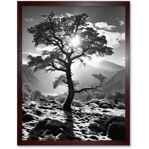 Artery8 Wall Art Print Frozen Tree Outline in Mountain Forest Landscape Covered in Snow Black & White Photograph Winter Sunshine Art Framed Brown W12" x H16" Artery8 Wall Art Print Frozen Tree Outline in Mountain Forest Landscape Covered in Snow Black & White Photograph Winter Sunshine Art Framed Brown W12" x H16"