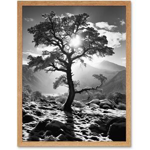 Artery8 Wall Art Print Frozen Tree Outline in Mountain Forest Landscape Covered in Snow Black & White Photograph Winter Sunshine Art Framed Light Oak W12" x H16" Artery8 Wall Art Print Frozen Tree Outline in Mountain Forest Landscape Covered in Snow Black & White Photograph Winter Sunshine Art Framed Light Oak W12" x H16"