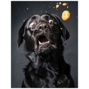 Artery8 Wall Art Print Funny Black Labrador Dog Lover Treat Catch Photo Poster Size: W12" x H16" Black W12" x H16" Artery8 Wall Art Print Funny Black Labrador Dog Lover Treat Catch Photo Poster Size: W12" x H16" Black W12" x H16"