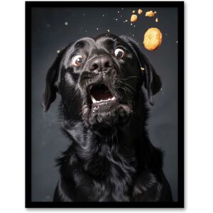 Artery8 Wall Art Print Funny Black Labrador Dog Lover Treat Catch Photo Art Framed Poster Size: W12" x H16" Black W12" x H16" Artery8 Wall Art Print Funny Black Labrador Dog Lover Treat Catch Photo Art Framed Poster Size: W12" x H16" Black W12" x H16"