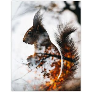 Artery8 Wall Art Print Squirrel Lover Autumn Photo Woodland Animal Poster in Grey Size: W12" x H16" Grey W12" x H16" Artery8 Wall Art Print Squirrel Lover Autumn Photo Woodland Animal Poster in Grey Size: W12" x H16" Grey W12" x H16"