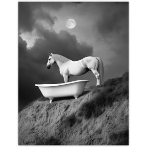 Artery8 Horse Bathtub Full Moon Cliff Surreal Black White Wall Art Print in Grey Size: W12" x H16" Grey W12" x H16" Artery8 Horse Bathtub Full Moon Cliff Surreal Black White Wall Art Print in Grey Size: W12" x H16" Grey W12" x H16"