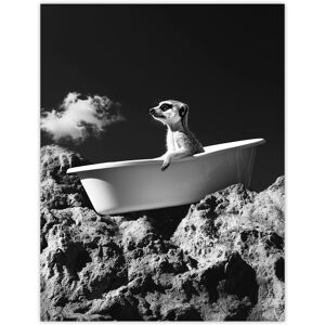 Artery8 Meerkat in Bathtub on a Rock Black White Surreal Wall Art Print in Grey Size: W12" x H16" Grey W12" x H16" Artery8 Meerkat in Bathtub on a Rock Black White Surreal Wall Art Print in Grey Size: W12" x H16" Grey W12" x H16"
