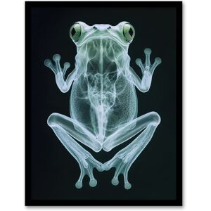 Artery8 Frog Teal Green Dark Luminescent Xray Effect Framed Art Print in Black Size: W12" x H16" Black W12" x H16" Artery8 Frog Teal Green Dark Luminescent Xray Effect Framed Art Print in Black Size: W12" x H16" Black W12" x H16"