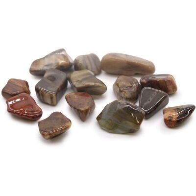 KDMD M Tumble Stone - Petrified Wood - (Set of 24) in Maroon Maroon KDMD M Tumble Stone - Petrified Wood - (Set of 24) in Maroon Maroon