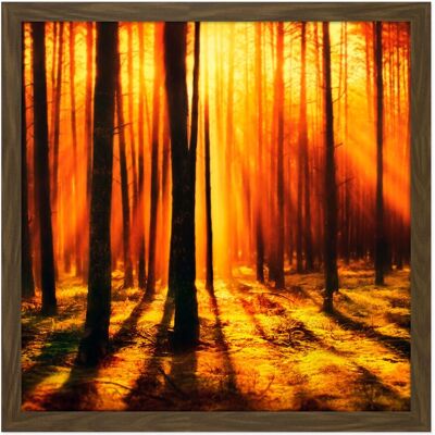 Artery8 Wall Art Print Forest Sunset Nature Photograph Square Framed Picture 16X16 Inch in Brown Size: W16" x H16" Brown W16" x H16" Artery8 Wall Art Print Forest Sunset Nature Photograph Square Framed Picture 16X16 Inch in Brown Size: W16" x H16" Brown W16" x H16"
