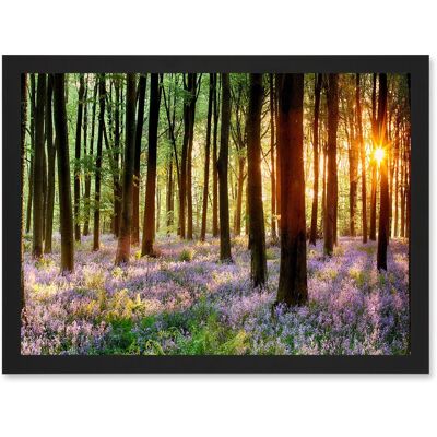 Artery8 - Bluebell Wood Sunrise Trees Photo - A4 - Wall Art Artery8 - Bluebell Wood Sunrise Trees Photo - A4 - Wall Art