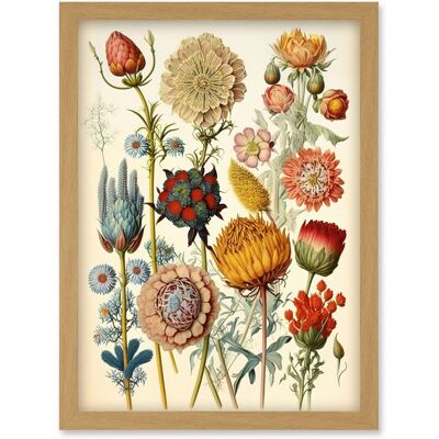 Artery8 - Ernst Haeckel Plant Study - Light Oak - Wall Art Print Artery8 - Ernst Haeckel Plant Study - Light Oak - Wall Art Print