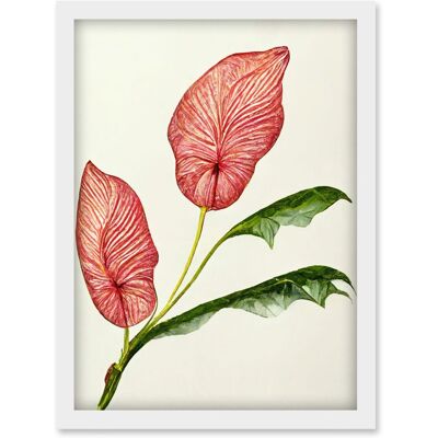 Artery8 - Pink Laceleaf Tropical Leaf Anthurium - Framed Artery8 - Pink Laceleaf Tropical Leaf Anthurium - Framed