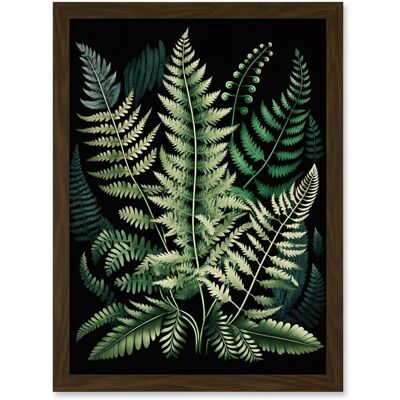 Artery8 - Fern Fronds Illustration - A4 - Brown Frame - Wall Art Artery8 - Fern Fronds Illustration - A4 - Brown Frame - Wall Art