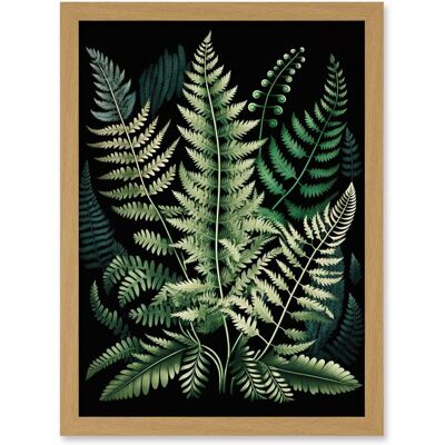 Artery8 - Fern Fronds - A4 - Wall Art Print Artery8 - Fern Fronds - A4 - Wall Art Print