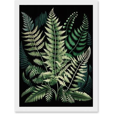 Artery8 - Fern Fronds - Detailed Leaves - A4 - Framed Print Artery8 - Fern Fronds - Detailed Leaves - A4 - Framed Print