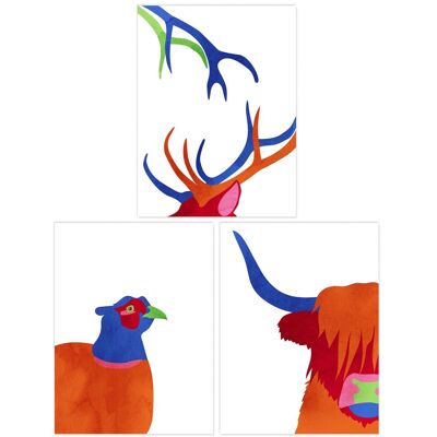 Artery8 Wall Art Print Pack of 3 A4 Scottish Highland Animals Highland Coo Cow Grouse Deer Abstract Colour Block Living Room s Set Multicolor A4 Artery8 Wall Art Print Pack of 3 A4 Scottish Highland Animals Highland Coo Cow Grouse Deer Abstract Colour Block Living Room s Set Multicolor A4