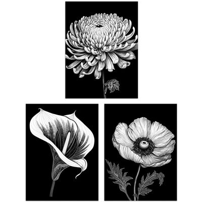 Artery8 - Floral 3-Pack - Black and White - Wall Art Artery8 - Floral 3-Pack - Black and White - Wall Art