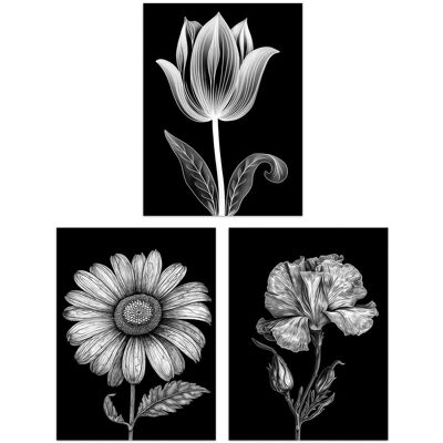 Artery8 Wall Art Print Set of 3 Elegant Single Tulip Daisy Rose Spring Flowers Black & White Floral Impact Artworks Living Room Poster s Pack Black W12" x H16" Artery8 Wall Art Print Set of 3 Elegant Single Tulip Daisy Rose Spring Flowers Black & White Floral Impact Artworks Living Room Poster s Pack Black W12" x H16"