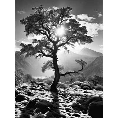 Artery8 Wall Art Print Frozen Tree Outline in Mountain Forest Landscape Covered in Snow Black & White Photograph Winter Sunshine Poster Grey W24" x H32" Artery8 Wall Art Print Frozen Tree Outline in Mountain Forest Landscape Covered in Snow Black & White Photograph Winter Sunshine Poster Grey W24" x H32"