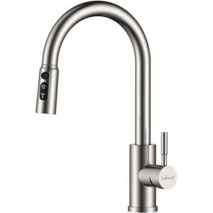 Appaso Kitchen Sink Taps Mixer with Pull Out Spray, 3 Spary Modes in Silver Silver Appaso Kitchen Sink Taps Mixer with Pull Out Spray, 3 Spary Modes in Silver Silver