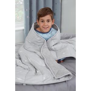 Dreamscene Star Teddy Fleece Kids Weighted Blanket