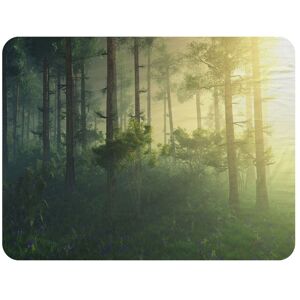 Benjamin Tate Design sun, trees in a haze of light, glowing fog among the trees Designer Blanket in Natural Size: 120 cm x 150 cm Natural 120 cm x 150 cm Benjamin Tate Design sun, trees in a haze of light, glowing fog among the trees Designer Blanket in Natural Size: 120 cm x 150 cm Natural 120 cm x 150 cm