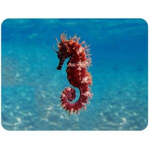 Benjamin Tate Design Mediterranean Seahorse Designer Blanket in Natural Size: 120 cm x 150 cm Natural 120 cm x 150 cm Benjamin Tate Design Mediterranean Seahorse Designer Blanket in Natural Size: 120 cm x 150 cm Natural 120 cm x 150 cm