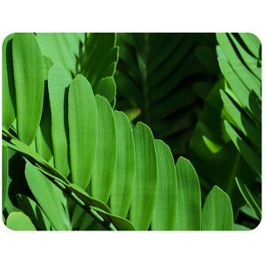 Benjamin Tate Design Natural dark green leaves, long slender green leaves Designer Blanket Size: 120 cm x 150 cm Natural 120 cm x 150 cm Benjamin Tate Design Natural dark green leaves, long slender green leaves Designer Blanket Size: 120 cm x 150 cm Natural 120 cm x 150 cm