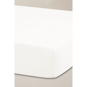 Ted Baker 'TB Plain Dye' Cotton Sateen Fitted Sheet in White Size: Single White Single Ted Baker 'TB Plain Dye' Cotton Sateen Fitted Sheet in White Size: Single White Single