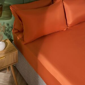 OHS Ultra Soft Microfibre Plain Fitted Bed Sheet in Burnt Orange Size: Single Burnt Orange Single OHS Ultra Soft Microfibre Plain Fitted Bed Sheet in Burnt Orange Size: Single Burnt Orange Single