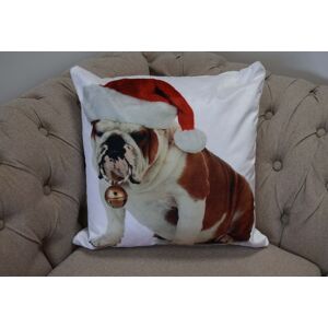 Rapport Home Bulldog Bouble Polyester Cushion Cover (43x43) Multicolor Size: 43 cm x 43 cm Multicolor 43 cm x 43 cm Rapport Home Bulldog Bouble Polyester Cushion Cover (43x43) Multicolor Size: 43 cm x 43 cm Multicolor 43 cm x 43 cm