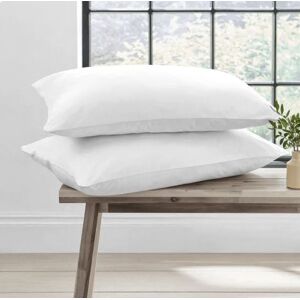 GAVENO CAVAILIA 2 Pack Pillow Set in White White GAVENO CAVAILIA 2 Pack Pillow Set in White White