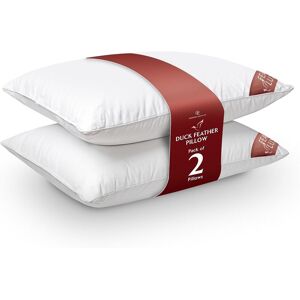 GAVENO CAVAILIA 2 Pack Feather Luxury Pillow Set in White White GAVENO CAVAILIA 2 Pack Feather Luxury Pillow Set in White White
