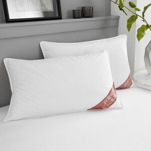GAVENO CAVAILIA Duck Feather Pillow in White White GAVENO CAVAILIA Duck Feather Pillow in White White