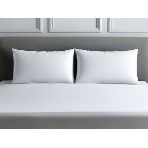 Snug City Luxury 200TC Housewife Pillowcase Pair Soft Feel in White Size: Standard Pillow Case White Standard Pillow Case Snug City Luxury 200TC Housewife Pillowcase Pair Soft Feel in White Size: Standard Pillow Case White Standard Pillow Case