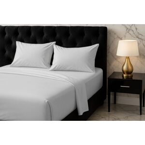 Snug City Microfibre Soft Touch Flat Sheet Plain Dyed Bed Linen in White Size: King Flat White King Flat Snug City Microfibre Soft Touch Flat Sheet Plain Dyed Bed Linen in White Size: King Flat White King Flat